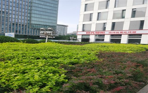天创科技大厦