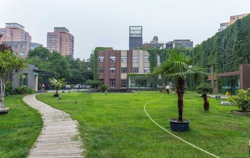 正通创意中心绿化