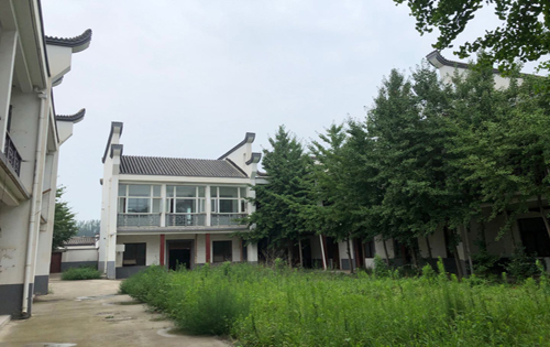 展洲国际艺术区绿化