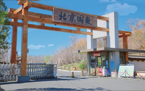 国数美域周边环境