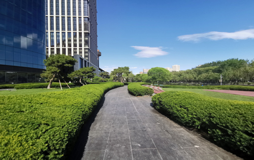 全球最贵写字楼前10名疫后走向