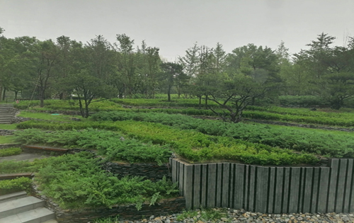 上东公园里景观