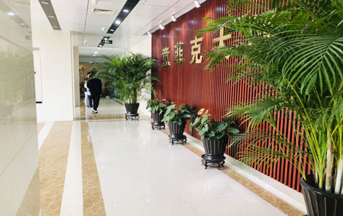 意菲克大厦公共区域