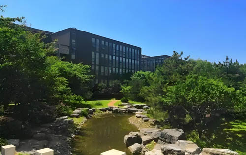 汇龙森三园假山内景